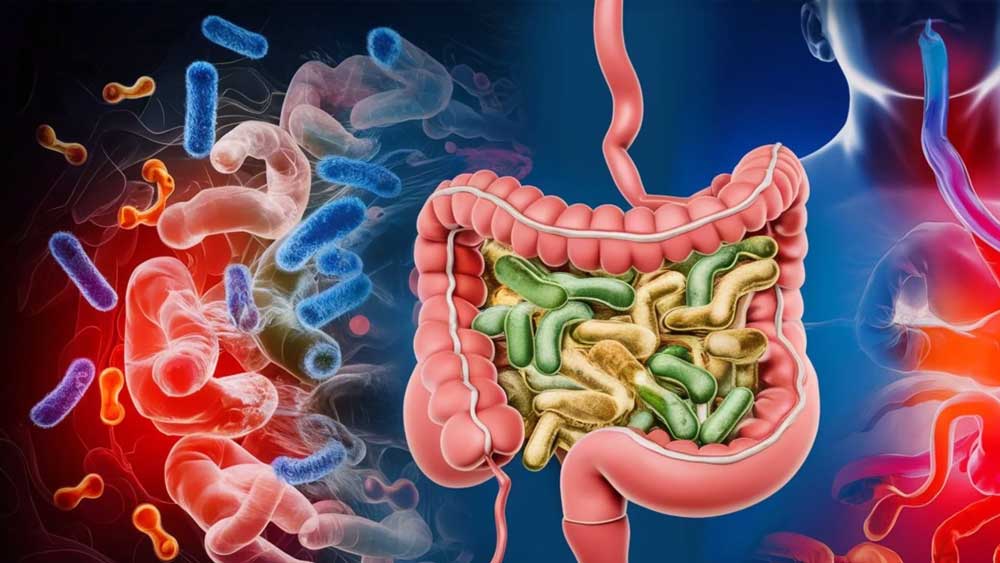 Gut Health and Blood Sugar: What's the Connection?